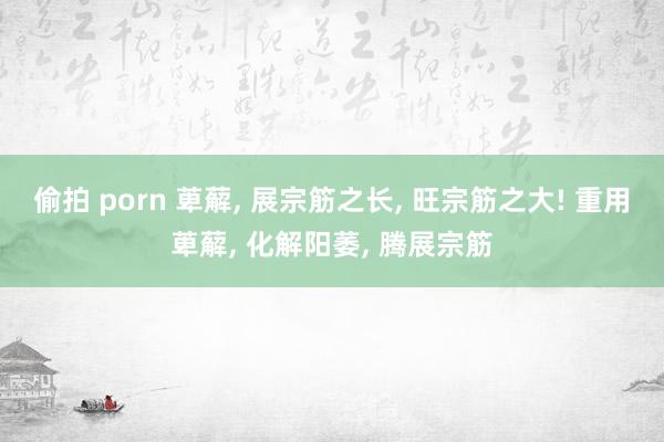 偷拍 porn 萆薢， 展宗筋之长， 旺宗筋之大! 重用萆薢， 化解阳萎， 腾展宗筋