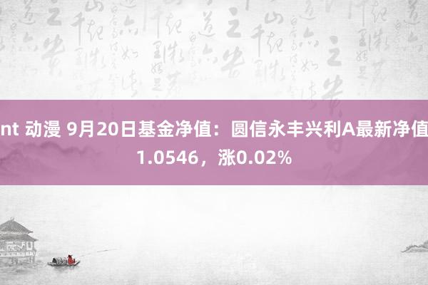 nt 动漫 9月20日基金净值：圆信永丰兴利A最新净值1.0546，涨0.02%