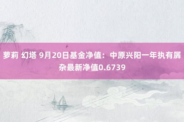 萝莉 幻塔 9月20日基金净值：中原兴阳一年执有羼杂最新净值0.6739