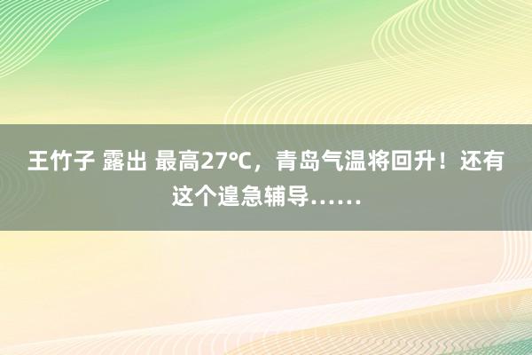 王竹子 露出 最高27℃，青岛气温将回升！还有这个遑急辅导……