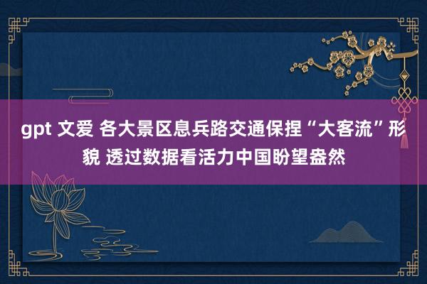 gpt 文爱 各大景区息兵路交通保捏“大客流”形貌 透过数据看活力中国盼望盎然