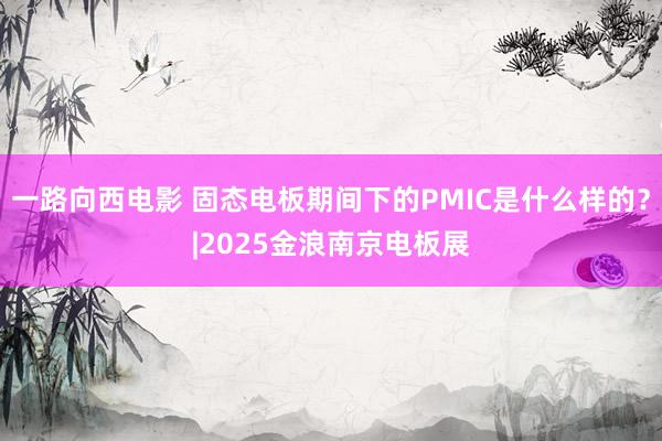 一路向西电影 固态电板期间下的PMIC是什么样的？|2025金浪南京电板展