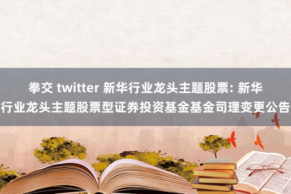 拳交 twitter 新华行业龙头主题股票: 新华行业龙头主题股票型证券投资基金基金司理变更公告