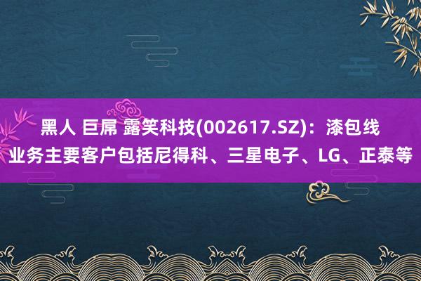 黑人 巨屌 露笑科技(002617.SZ)：漆包线业务主要客户包括尼得科、三星电子、LG、正泰等