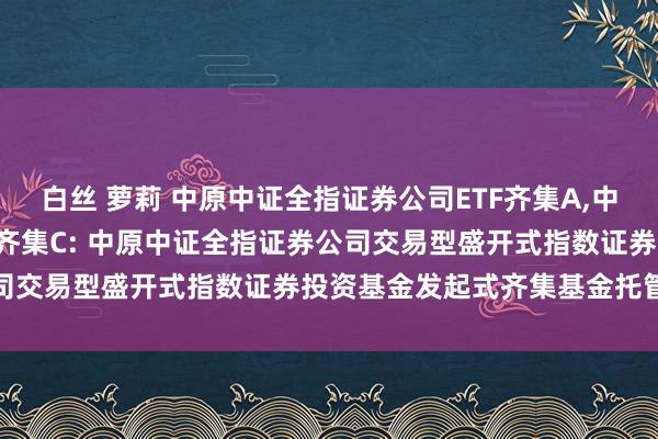 白丝 萝莉 中原中证全指证券公司ETF齐集A,中原中证全指证券公司ETF齐集C: 中原中证全指证券公司交易型盛开式指数证券投资基金发起式齐集基金托管左券