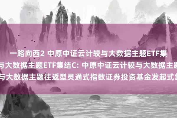 一路向西2 中原中证云计较与大数据主题ETF集结A，中原中证云计较与大数据主题ETF集结C: 中原中证云计较与大数据主题往返型灵通式指数证券投资基金发起式集结基金托管公约
