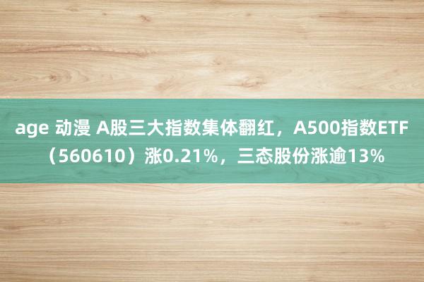 age 动漫 A股三大指数集体翻红，A500指数ETF（560610）涨0.21%，三态股份涨逾13%