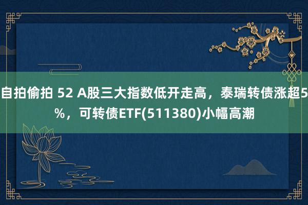 自拍偷拍 52 A股三大指数低开走高，泰瑞转债涨超5%，可转债ETF(511380)小幅高潮