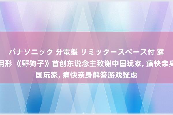 パナソニック 分電盤 リミッタースペース付 露出・半埋込両用形 《野狗子》首创东说念主致谢中国玩家， 痛快亲身解答游戏疑虑