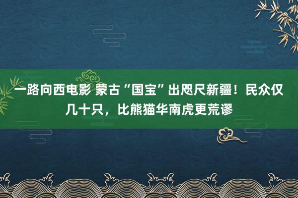 一路向西电影 蒙古“国宝”出咫尺新疆！民众仅几十只，比熊猫华南虎更荒谬