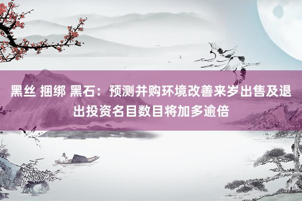黑丝 捆绑 黑石：预测并购环境改善来岁出售及退出投资名目数目将加多逾倍