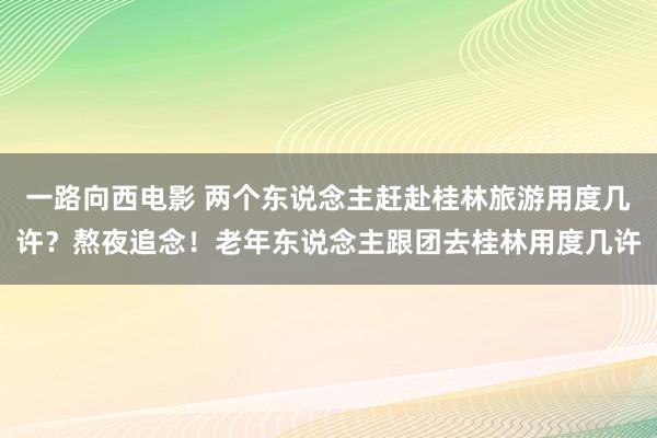 一路向西电影 两个东说念主赶赴桂林旅游用度几许？熬夜追念！老年东说念主跟团去桂林用度几许