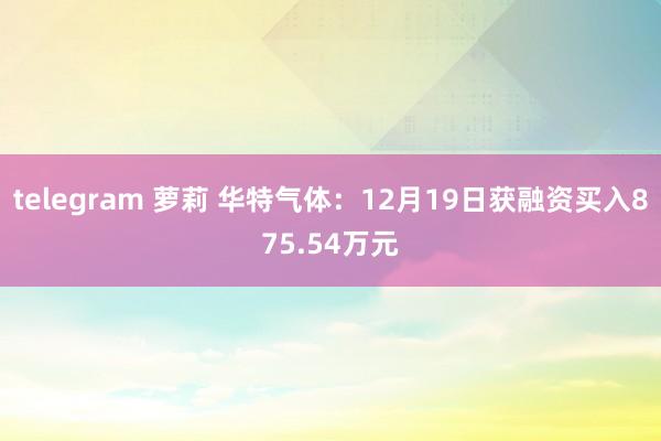 telegram 萝莉 华特气体：12月19日获融资买入875.54万元