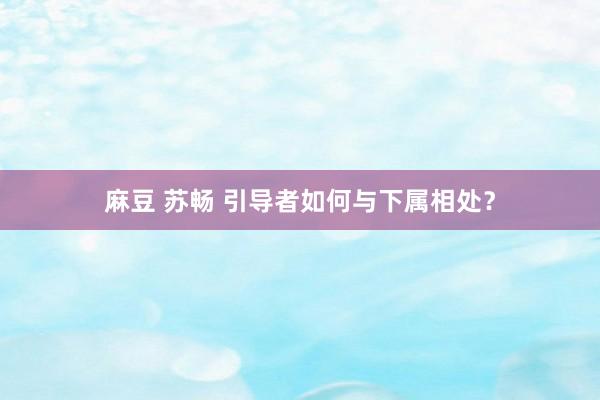 麻豆 苏畅 引导者如何与下属相处？