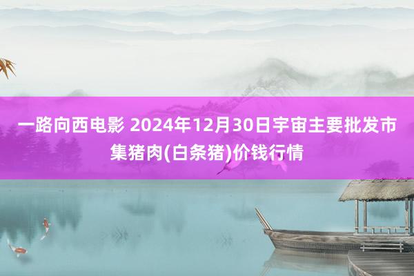 一路向西电影 2024年12月30日宇宙主要批发市集猪肉(白条猪)价钱行情