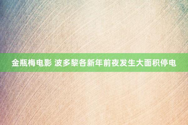 金瓶梅电影 波多黎各新年前夜发生大面积停电