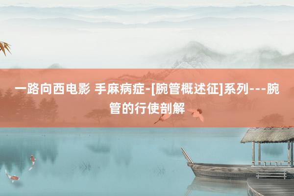 一路向西电影 手麻病症-[腕管概述征]系列---腕管的行使剖解