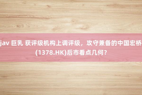 jav 巨乳 获评级机构上调评级，攻守兼备的中国宏桥(1378.HK)后市看点几何？