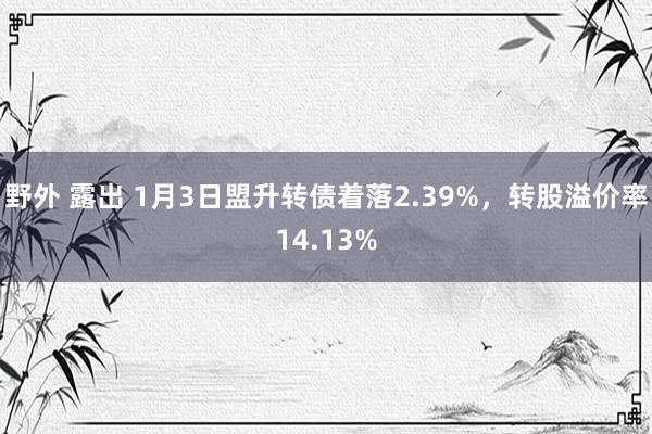 野外 露出 1月3日盟升转债着落2.39%,转股溢价率14.13%