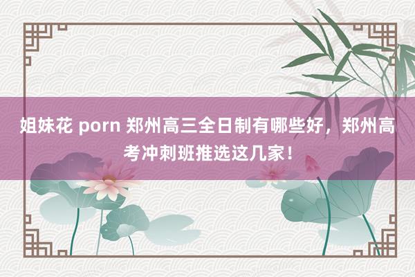 姐妹花 porn 郑州高三全日制有哪些好，郑州高考冲刺班推选这几家！