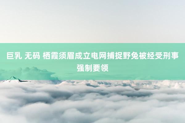 巨乳 无码 栖霞须眉成立电网捕捉野兔被经受刑事强制要领