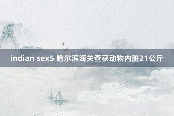 indian sex5 哈尔滨海关查获动物内脏21公斤