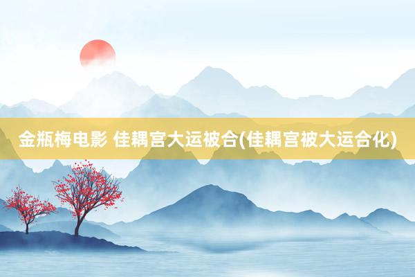 金瓶梅电影 佳耦宫大运被合(佳耦宫被大运合化)