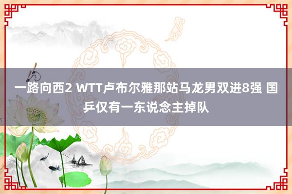 一路向西2 WTT卢布尔雅那站马龙男双进8强 国乒仅有一东说念主掉队