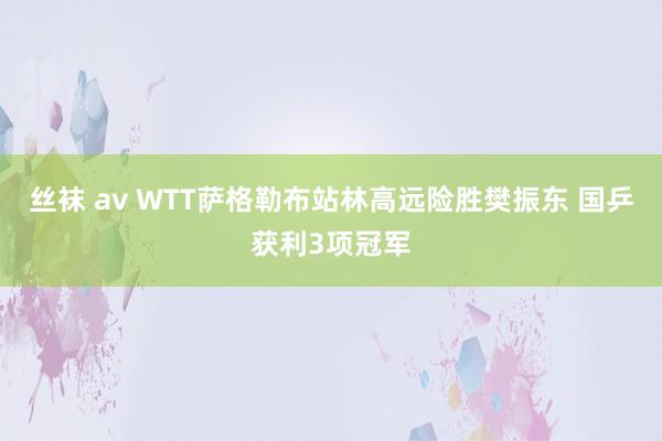 丝袜 av WTT萨格勒布站林高远险胜樊振东 国乒获利3项冠军