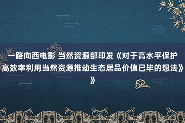 一路向西电影 当然资源部印发《对于高水平保护高效率利用当然资源推动生态居品价值已毕的想法》
