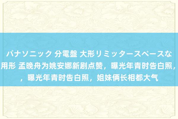 パナソニック 分電盤 大形リミッタースペースなし 露出・半埋込両用形 孟晚舟为姚安娜新剧点赞，曝光年青时告白照，姐妹俩长相都大气