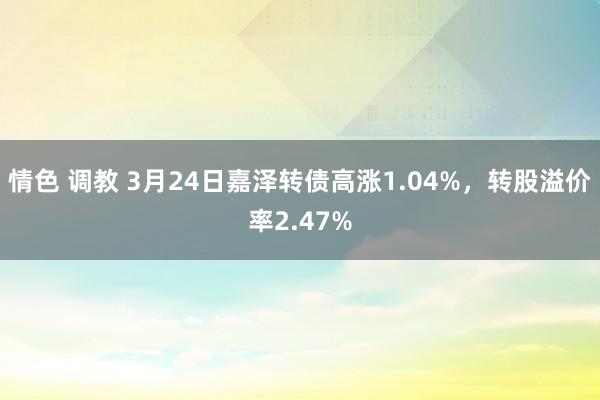 情色 调教 3月24日嘉泽转债高涨1.04%，转股溢价率2.47%