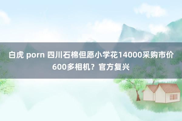 白虎 porn 四川石棉但愿小学花14000采购市价600多相机？官方复兴