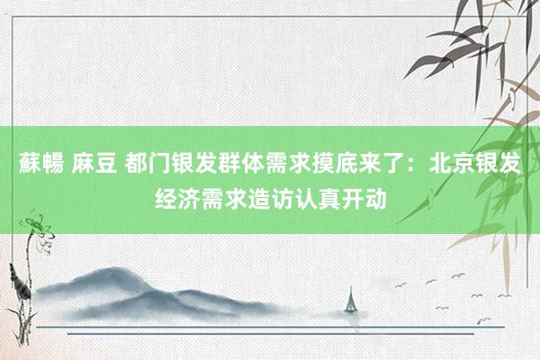 蘇暢 麻豆 都门银发群体需求摸底来了：北京银发经济需求造访认真开动