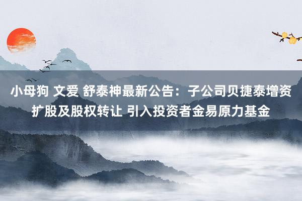 小母狗 文爱 舒泰神最新公告：子公司贝捷泰增资扩股及股权转让 引入投资者金易原力基金