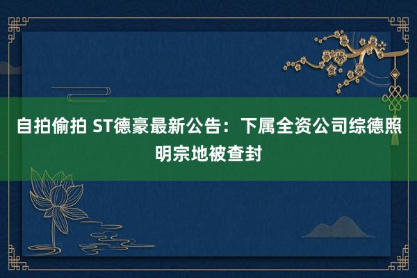 自拍偷拍 ST德豪最新公告：下属全资公司综德照明宗地被查封