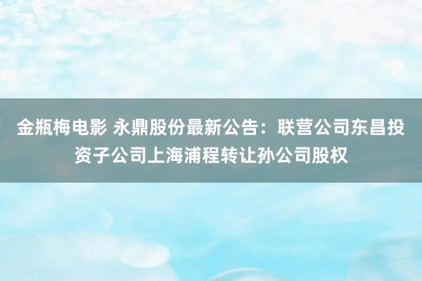 金瓶梅电影 永鼎股份最新公告：联营公司东昌投资子公司上海浦程转让孙公司股权