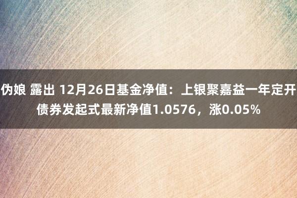 伪娘 露出 12月26日基金净值：上银聚嘉益一年定开债券发起式最新净值1.0576，涨0.05%