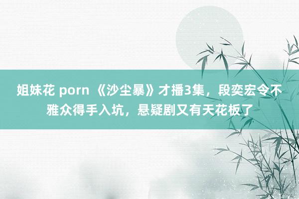 姐妹花 porn 《沙尘暴》才播3集，段奕宏令不雅众得手入坑，悬疑剧又有天花板了