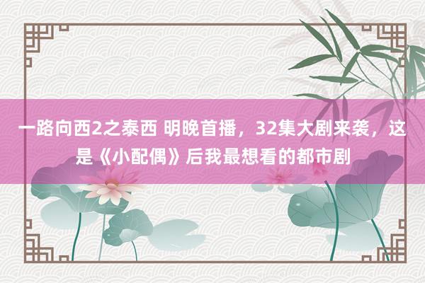 一路向西2之泰西 明晚首播，32集大剧来袭，这是《小配偶》后我最想看的都市剧