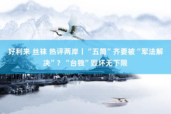 好利来 丝袜 热评两岸丨“五筒”齐要被“军法解决”?“台独”毁坏无下限