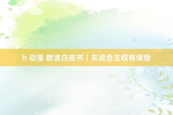 h 动漫 数读白皮书｜东说念主权有保险