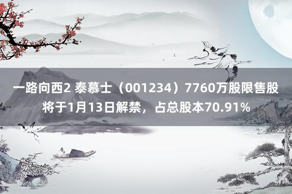 一路向西2 泰慕士（001234）7760万股限售股将于1月13日解禁，占总股本70.91%