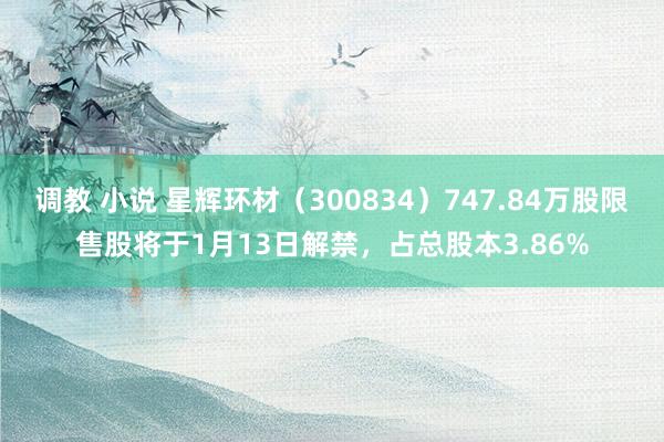 调教 小说 星辉环材（300834）747.84万股限售股将于1月13日解禁，占总股本3.86%