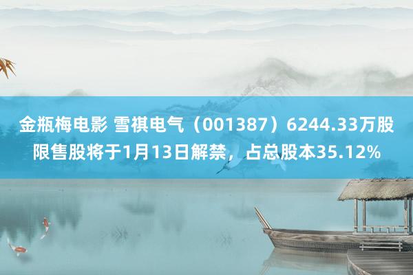 金瓶梅电影 雪祺电气（001387）6244.33万股限售股将于1月13日解禁，占总股本35.12%
