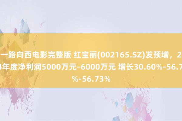 一路向西电影完整版 红宝丽(002165.SZ)发预增，2024年度净利润5000万元–6000万元 增长30.60%-56.73%