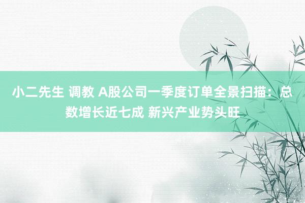 小二先生 调教 A股公司一季度订单全景扫描：总数增长近七成 新兴产业势头旺