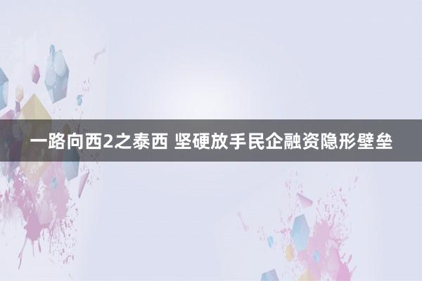 一路向西2之泰西 坚硬放手民企融资隐形壁垒