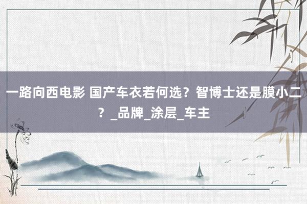 一路向西电影 国产车衣若何选？智博士还是膜小二？_品牌_涂层_车主
