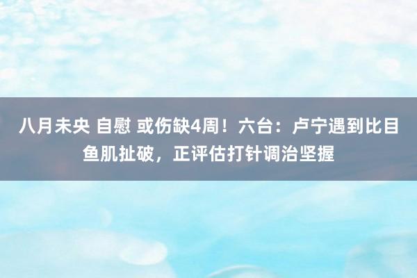 八月未央 自慰 或伤缺4周！六台：卢宁遇到比目鱼肌扯破，正评估打针调治坚握